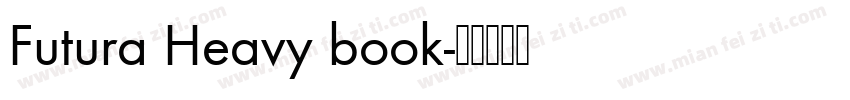 Futura Heavy book字体转换